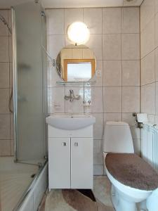 uma casa de banho com um WC, um lavatório e um espelho. em u Marii Gał em Leśnica