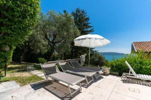 Táj Show holiday homes közelében