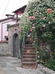 un conjunto de escaleras con rosas en un edificio en Casa gelsomino, en Fivizzano