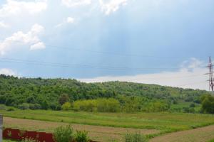 a green field with a hill in the background at Pensiunea Maria Mihăești in Mihăeşti