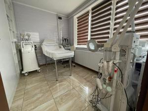 a room with a hospital room with a patient room at Pensiunea Maria Mihăești in Mihăeşti