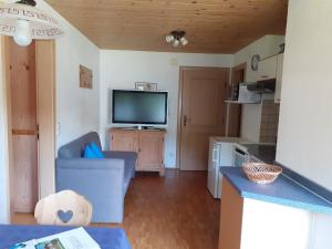 a small living room with a television and a kitchen at Haus Auerhahn in Bad Hindelang