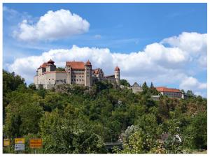 un castillo en la cima de una colina con árboles en Jurte in Bayern – spirituelle Reise ins Keltenland, en Neuburg an der Donau