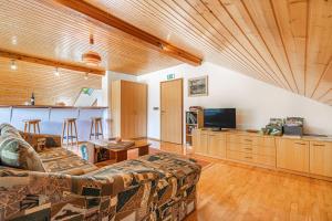 TV a/nebo společenská místnost v ubytování House Mavko Near Lake Cerknica - Happy Rentals