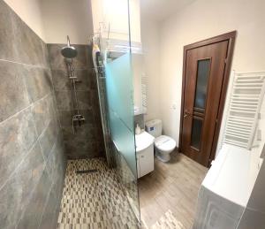 a bathroom with a glass shower with a toilet at CRISTAL Home Boutique Apartment 1 - Confort, Spatios, Linistit, Zona de interes in Craiova