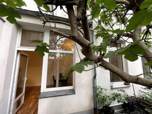 a tree in front of a house with a window at Cosy & central flat near Düsseldorf center in Düsseldorf