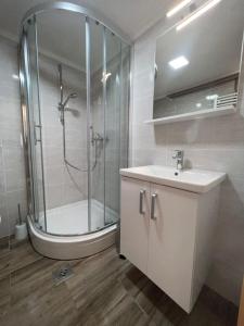 a bathroom with a shower and a sink and a toilet at Apartmani Albatros in Perušić