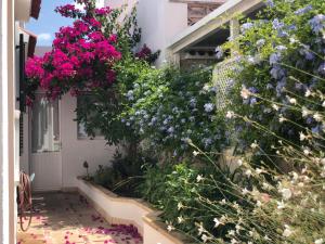 Κήπος έξω από το Habitación con baño y jardín privado en Casa Típica Ciutadella centro +22 φωτογραφίες