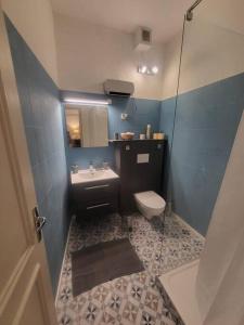 a small bathroom with a toilet and a sink at Appartement Cosy centre ville in LʼIsle-sur-la-Sorgue