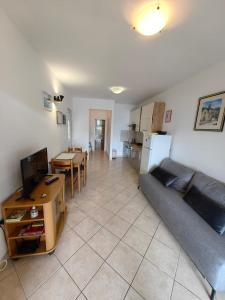 Televízia a/alebo spoločenská miestnosť v ubytovaní Žal Beach Apartments