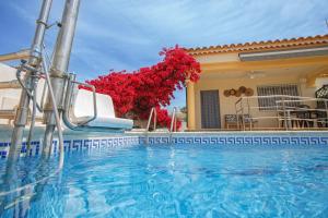 a villa with a swimming pool and red flowers at ADAPTADOS 4 in Vinaròs