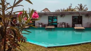 una piscina frente a una casa con flores rosas en Tropicana Garden, en Kendwa