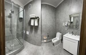 a bathroom with a shower and a toilet and a sink at Lumarc Hotel in Bishkek