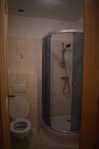 a bathroom with a shower with a toilet and a shower at Penzión na gazdovskom dvore in Dolný Kubín