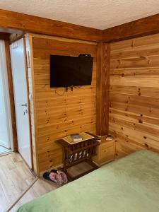 een slaapkamer met een televisie aan een houten muur bij Zabljak studio apartment 2 in Žabljak