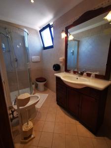 a bathroom with a sink and a shower and a toilet at DEPENDANCE PARCO dei PRINCIPI in Anzio