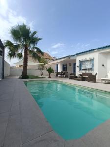 - une piscine en face d'une maison avec un palmier dans l'établissement Stunning Villa in Aguadulce, Almería Private Pool 400 sqm area 800m Beach, à Aguadulce