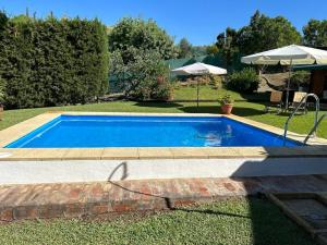 a blue swimming pool in the grass with an umbrella at Casa Rural Cupiana Piscina privada Malaga in Málaga