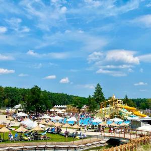 a beach with a water park with a roller coaster at Julinek CAMP in Leszno