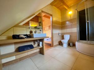 een badkamer met een toilet, een wastafel en een bad bij Górska Przystań in Wola Piskulina