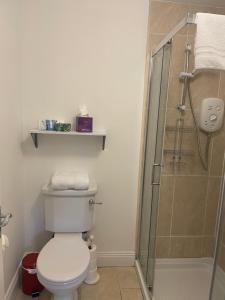a bathroom with a toilet and a shower at 360 Wolfe Stay in Dungarvan