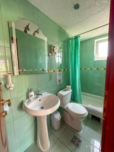 a green bathroom with a sink and a toilet at Villa D&L in Ohrid