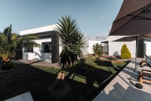 a house with palm trees in front of it at Eco Surflodge Azores in Ribeira Grande