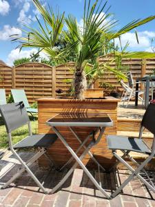 einen Tisch und Stühle auf einer Terrasse mit Pflanze in der Unterkunft Studio - Au fond de la cour in Lacroix-Saint-Ouen