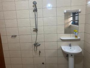 a bathroom with a shower and a sink at Apartment Diamant in Cotonou