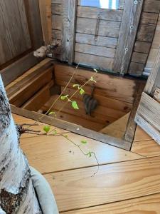 a mirror on a wooden floor with a plant in it at Nuit insolite - La cabane du Haut-Doubs in Les Gras