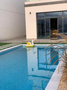 Great Escape for family and friends 4BR Villa with Private Pool and Sea View في الفجيرة: مسبح فيه بجعه وبط مطاطي