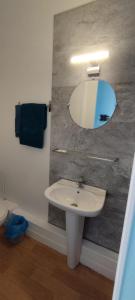 La salle de bains est pourvue d'un lavabo blanc et d'un miroir. dans l'établissement Hôtel de France, à Limoges