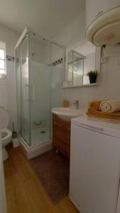 bagno con doccia, lavandino e servizi igienici di Appartement cosy au coeur d'Auvers-Sur-Oise ad Auvers-sur-Oise