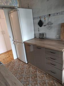 kuchnia z białą lodówką i blatem w obiekcie Sobe AURORA Nehruova 82 w Belgradzie +8 zdjęć