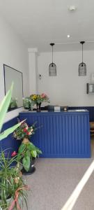 a blue counter with potted plants in a room at Hôtel de France in Limoges
