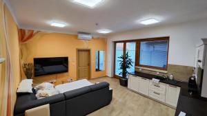 TV a/nebo společenská místnost v ubytování Apartmány Dačice