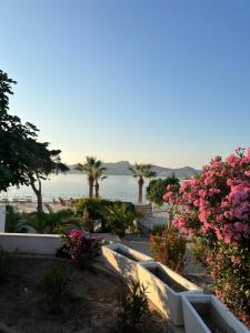 a view of a beach with palm trees and flowers at Marina Beach Suites - Yalikavak in Bodrum City