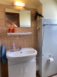 een badkamer met een wastafel en een douche bij Birkenstübchen in Lautenthal