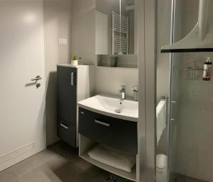 a bathroom with a sink and a shower at Apartman Santosha in Čakovec