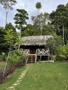 Zahrada ubytování Konsenda Bocas del Toro