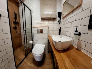 a bathroom with a sink and a toilet at Z Górki Na Pazurki in Polańczyk +38 photos