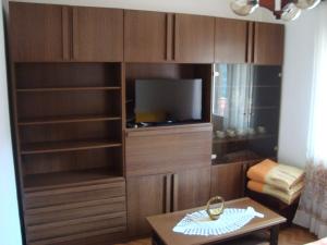 TV a/nebo společenská místnost v ubytování Apartment Josipa
