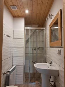 a bathroom with a shower and a sink at Willa Marianna in Zakopane