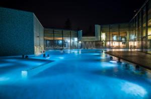 Hôtel Cailler & Bains de la Gruyère内部或周边的泳池