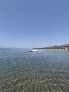 Táj Show holiday homes közelében