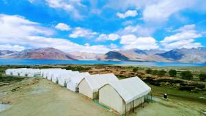 Gallery image of Camp redstart in Leh