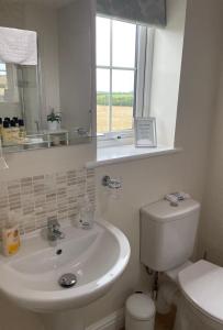 La salle de bains est pourvue d'un lavabo, de toilettes et d'une fenêtre. dans l'établissement Frongaer Bed And Breakfast, à Llanerchymedd