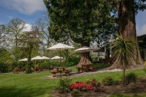 鄧迪的住宿－Invercarse Hotel Dundee, BW Signature Collection，一个带野餐桌和遮阳伞的公园