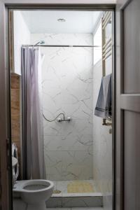 a bathroom with a shower with a toilet at Kohi in Kazbegi