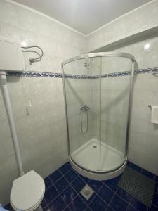 a bathroom with a glass shower and a toilet at Apartments Grifone Lux in Herceg-Novi